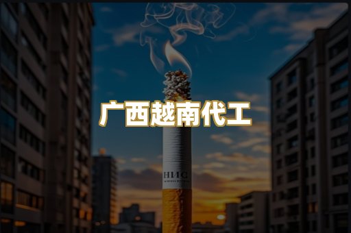 广西越南代工